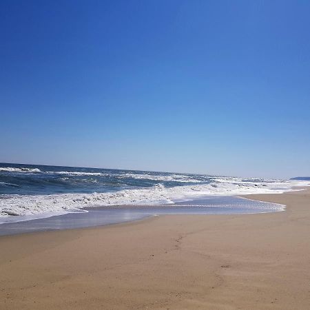 Carolmike Oasis Beach Apartment Kamchia Reserve المظهر الخارجي الصورة
